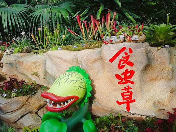 未标�?5.jpg