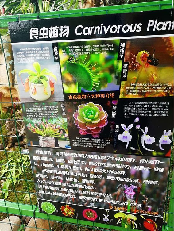 未标�?8.jpg