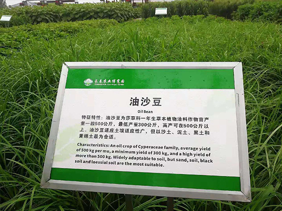 未标�?6.jpg