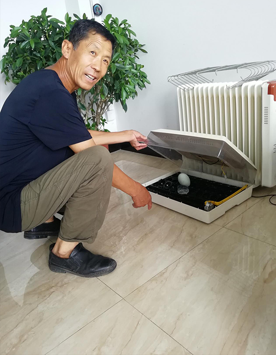 未标�?5.jpg