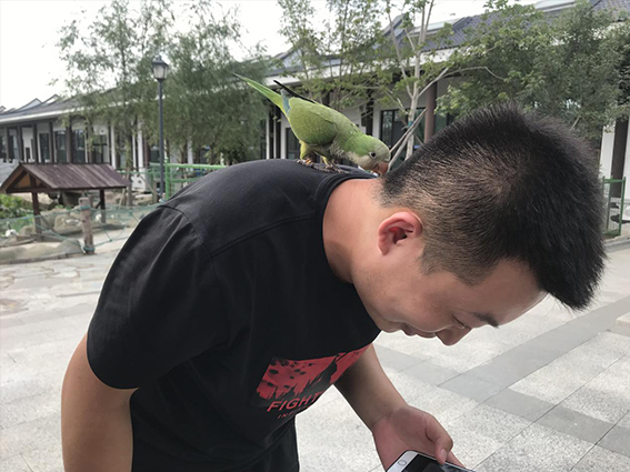 未标�?10.jpg