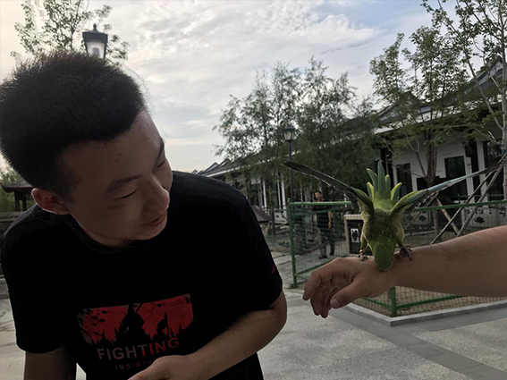 未标�?11.jpg