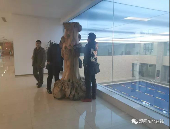 未标�?12.jpg