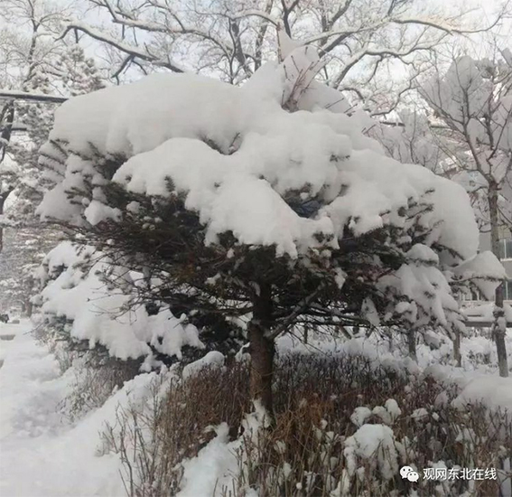 未标题-1.jpg 未标题-1.jpg