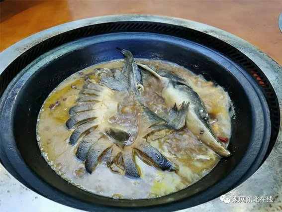 未标题-6.jpg 未标题-6.jpg