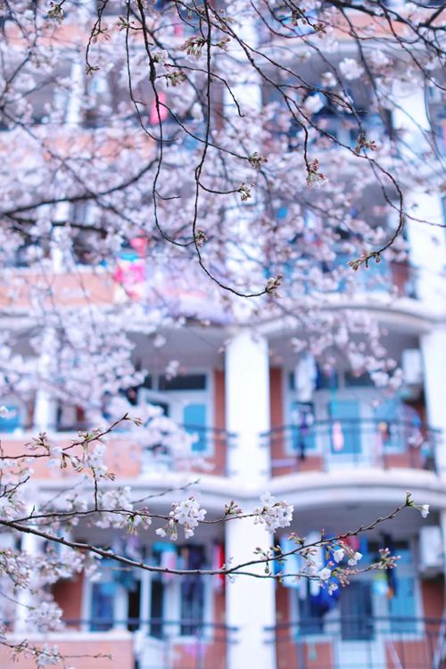 微信图片_20200324141907_副本16.jpg