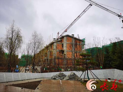 微信图片_20200421085931.jpg