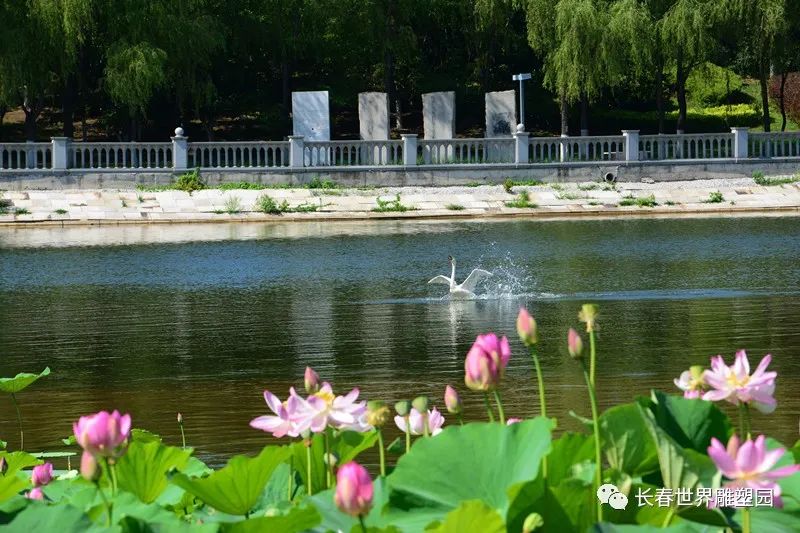微信图片_20220519105122.jpg