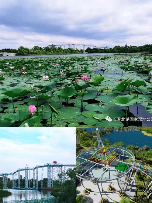 微信图片_20220519104839.jpg