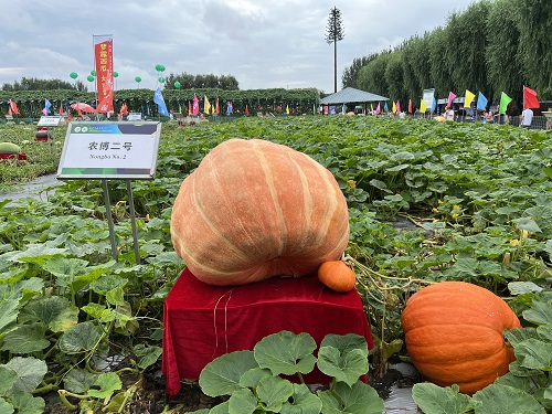 微信图片_20240826211907.jpg